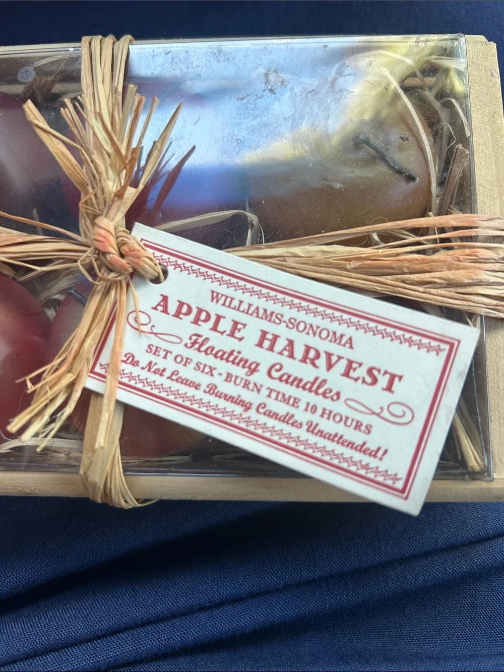 NIP Williams Sonoma Floating Apple candles